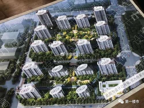 肥西楼市最新爆料消息,揭秘最新爆料背后的市场真相